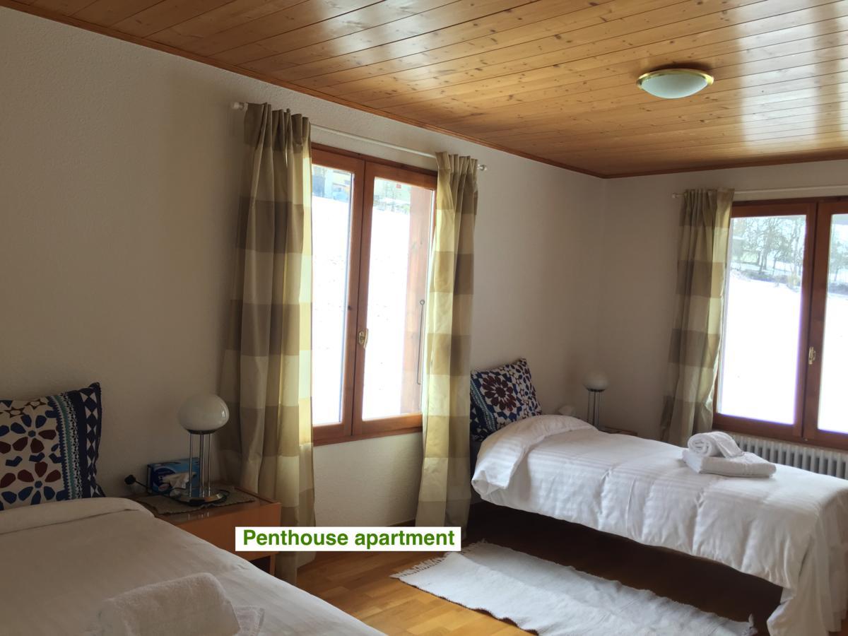 Le Green Chalet Villard-sur-Boege Exterior foto