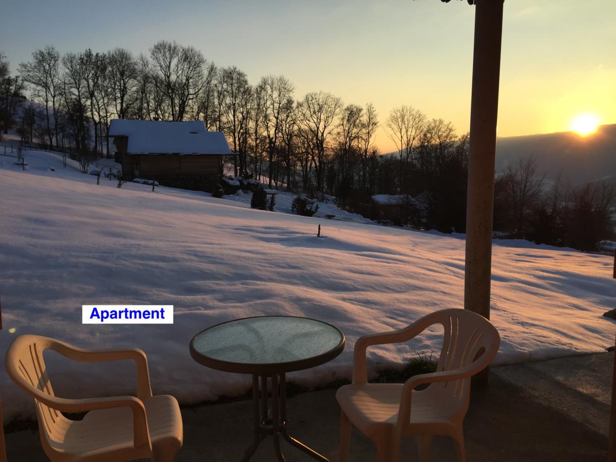 Le Green Chalet Villard-sur-Boege Exterior foto